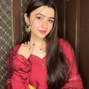Call Girls In Rohini Sector 22 9711014705  Escort Service