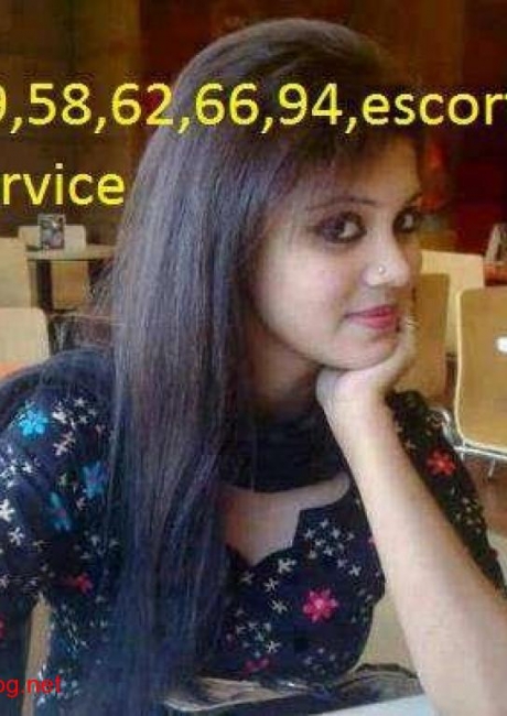  Delhi Escort Services 